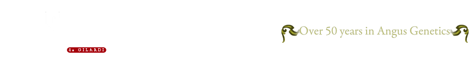  - Over 50 years in Angus Genetics